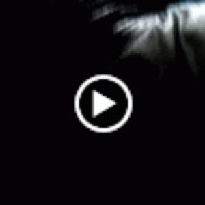 Meet your Posher, Shanta